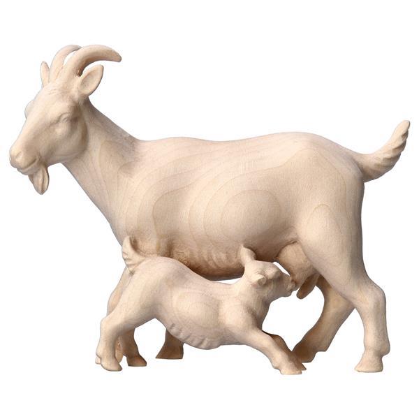 CO Chèvre avec chevreaux - Naturel
