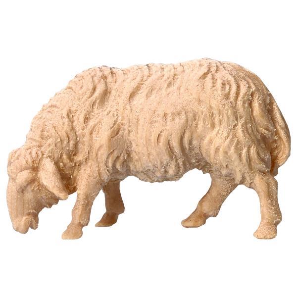 MO Mouton qui broute - Naturel-Pin