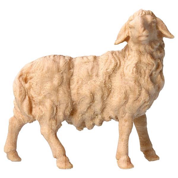 MO Mouton regardant à droite - Naturel-Pin