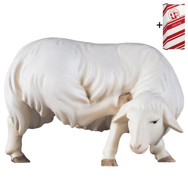 SA Mouton grattant + Coffret cadeau - Couleur