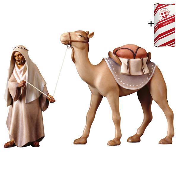 SA Groupe de chameaux debout 3 Parties + Coffret cadeau - Couleur