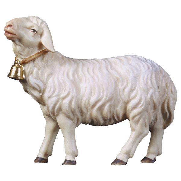 UL Mouton regardant droit devant lui avec cloche - Couleur