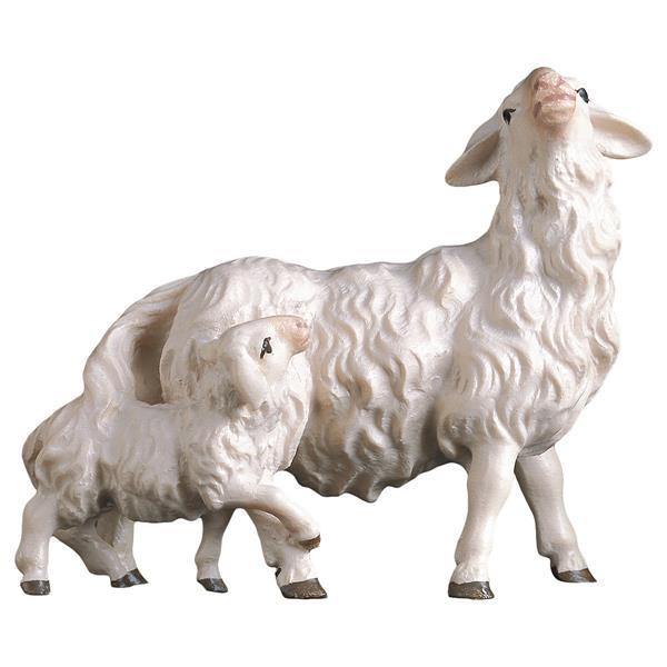 UL Mouton avec agneau derrière - Couleur