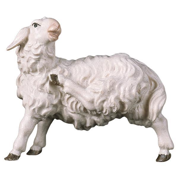 UL Mouton grattant - Couleur