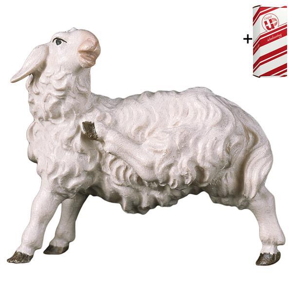UL Mouton grattant + Coffret cadeau - Couleur