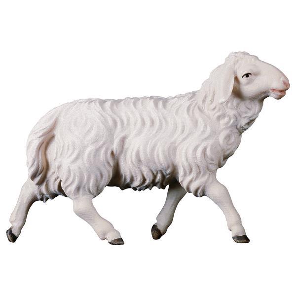 UL Mouton marchant - Couleur