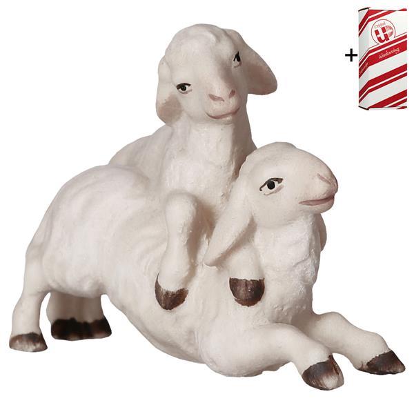 UL Couple d'agneaux + Coffret cadeau - Couleur