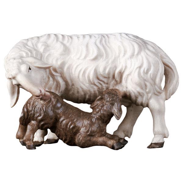 PA Mouton avec agneau allaitant - Couleur