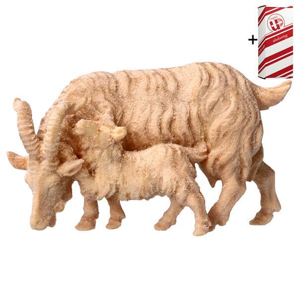 MO Chèvre avec chevreaux + Coffret cadeau - Naturel-Pin