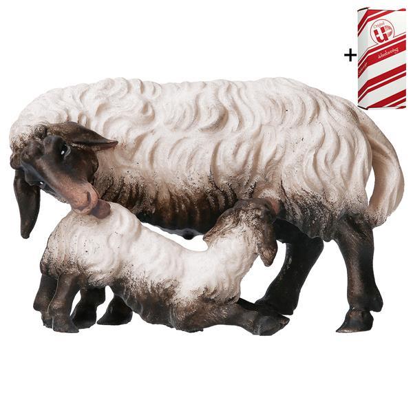 PA Pecora con agnello allattante testa nera + Box regalo - Colorato