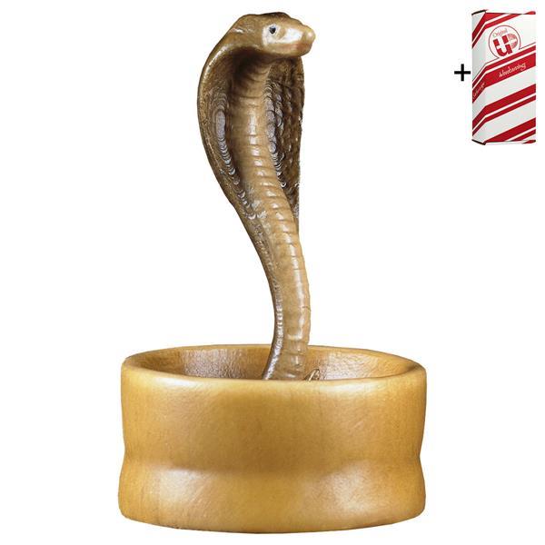 RE Serpente nel cesto + Box regalo - Colorato