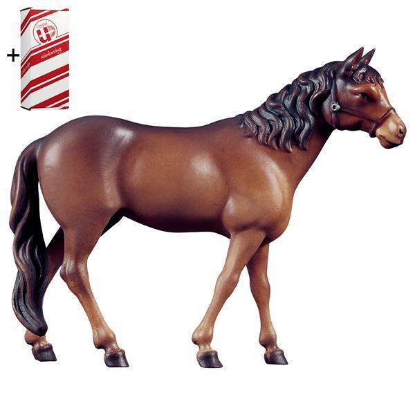 Cavallo marrone + Box regalo - Colorato