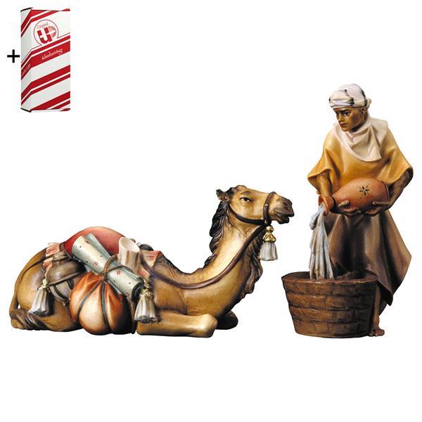 UL Gruppo del cammello sdraiato - 2 Pezzi + Box regalo - Colorato